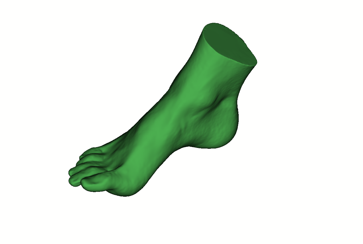 A 3D-scan by Calibry of a foot