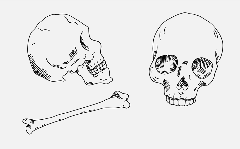 A skull